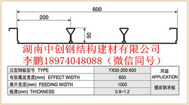 图片0