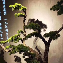 新中式仿真枯木植物迎客松铁艺摆件禅意软装家居客厅玄装饰品盆景