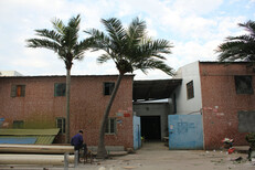 大型仿真椰子树批发室内外装饰人造树景观假树摆放定做椰子树图片0