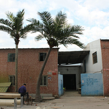 大型仿真椰子树批发室内外装饰人造树景观假树摆放定做椰子树