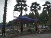 大型仿真保鲜棕榈树仿真树假树室内外商场造景摆放小区
