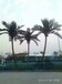 河南仿真椰子树厂家仿真树定制假树3-12米高玻璃钢保鲜杆