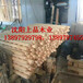 葫芦岛建筑木方市场上品木业