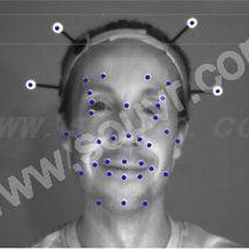 OptiTrack面部动作捕捉系统