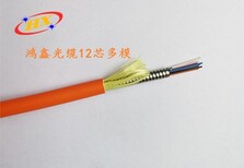 供应销售﻿铠装光缆可根据需求生产加工多芯单/多模光缆图片4
