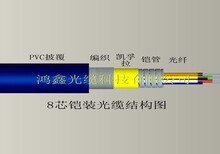 供应销售﻿铠装光缆可根据需求生产加工多芯单/多模光缆图片5