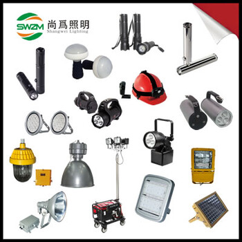 智能攝像電筒SZSW2850廠家SZSW2850智能攝像電筒