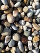 本诺厂家供应黑色鹅卵石天然铺路鹅卵石鹅卵石滤料机制鹅卵石图片