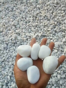 本诺厂家供应机制白麻鹅卵石黑白花岗岩鹅卵石彩色鹅卵石河滩鹅卵石