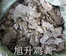 广西桂林恭城纯干鸡粪出售恭城无杂质鸡粪果树有机肥