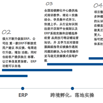 亚马逊无货源店群，亚马逊无货源ERP开发定制，OEM定制