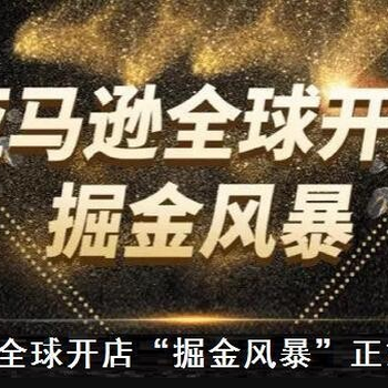 亚马逊无货源erp开发定制亚马逊培训包教会