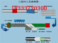 图片0