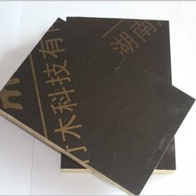 海南建筑模板覆膜板高层建筑混凝土模板厂家直销图片