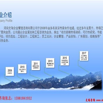 阜新做可行性研究报告—阜新正规版本