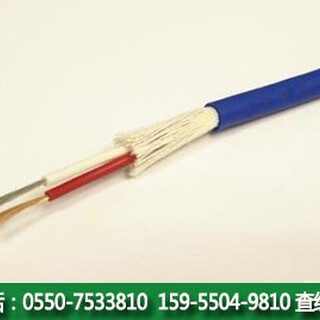 ZR-KVV	阻燃电缆聚氯乙烯护套阻燃控制电缆图片2