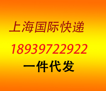 1543822815064171500-2.jpg
