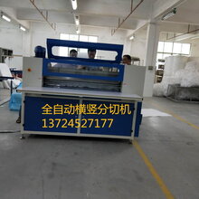 全自动EVA珍珠棉EPE横竖分切机分条机分块机生产厂家图片