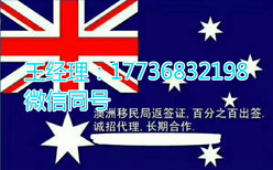 天津河东出国劳务澳大利亚/新西兰/加拿大正规办理工作签包吃住图片4