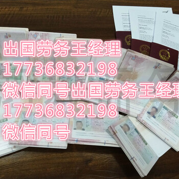 意大利新招聘，急招代理，包食宿，年薪30万，劳务输出