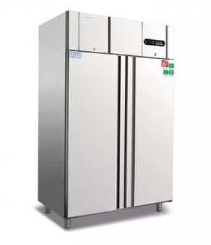 冰立方大二門冷藏柜RX2商用兩門單溫冰箱雙大門冷藏冰箱