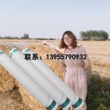 PP足米牧草捆草網(wǎng)向農(nóng)供應(yīng)進(jìn)口圓捆機(jī)秸稈打包網(wǎng)