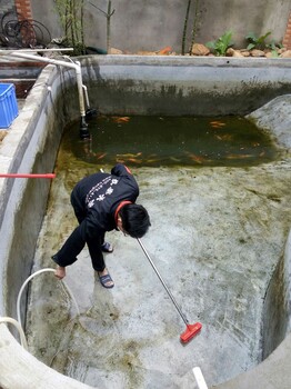 深圳福田上门洗鱼缸多少钱？有的水族店租缸吗