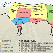 佛系公司广西山水牛供应安格斯牛肉中国牛肉-生鲜牛肉-牛副产品图片