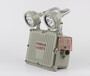 BAJ52消防LED應急燈停電自動LED防爆應急燈
