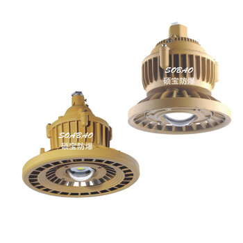 經(jīng)濟(jì)實(shí)惠60WLED防爆燈LED防爆燈60W