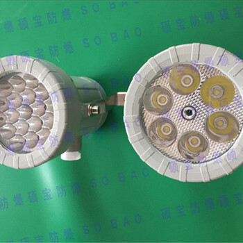 BSD9696防爆视孔灯5W带开关防爆视孔灯