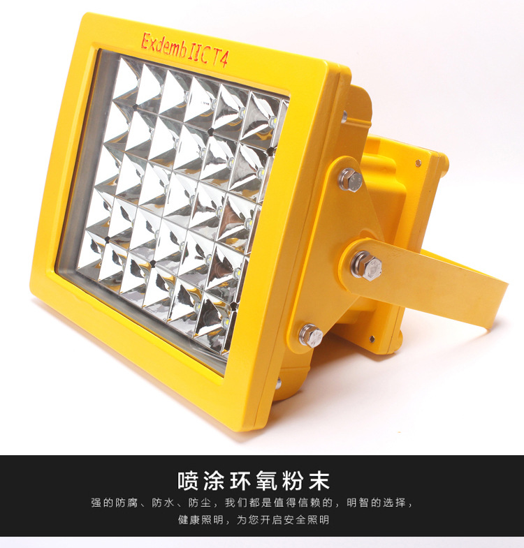 固定泛光照明灯50W60W防爆LED灯