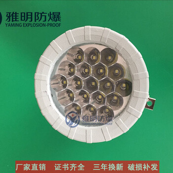 LED防爆视孔灯反应釜36V-220V带开关