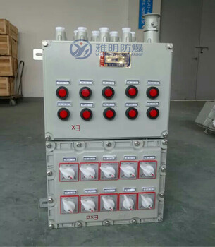 BXQ51防爆配电箱挂式安装防爆照明箱