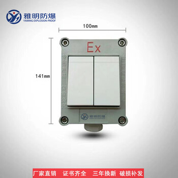 SW-10A一开单联防爆墙壁开关