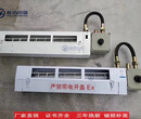 粘捕式防爆灭蚊灯CBY-1×20W220V图片