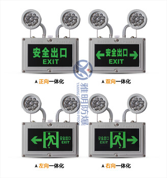 BAYD81-B01-5W防爆标志灯