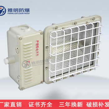 防震型投光灯防爆钠灯BAT53-1000W220V