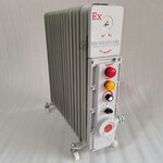 BDR-3000W15片220VIP54防爆电暖气油汀