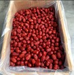 新疆若羌红枣专业代加工批发价超特级新疆若羌红枣