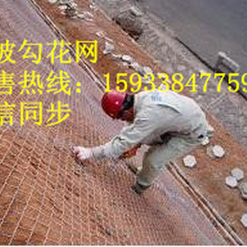 護坡勾花網(wǎng)&福泉市護坡勾花網(wǎng)價格批發(fā)&護坡勾花網(wǎng)廠家