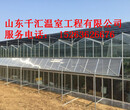 智能温室大棚建造发展现状图片