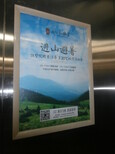 北京电梯框架广告图片5
