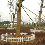 江西吉安安福县pvc塑钢护栏生产厂家的价格图片1