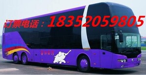 宁波到濮阳专线卧铺大巴车价格多少?图片4