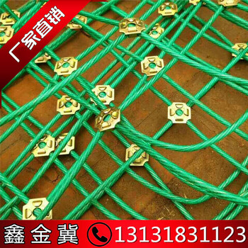 綠化涂塑主動網(wǎng)A武山綠化涂塑主動網(wǎng)A綠化涂塑主動網(wǎng)廠家