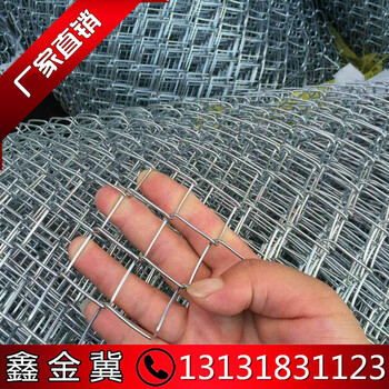 綠化護坡網(wǎng)鐵絲網(wǎng)生產(chǎn)廠家綠化勾花網(wǎng)可定制