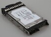 嘉兴市回收16G内存条回收1.2T戴尔硬盘