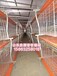 专业生产肉鸡笼，蛋鸡笼，兔笼，肉鸭笼养殖设备
