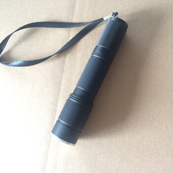 sw2120批發(fā)促銷微型電筒~1w